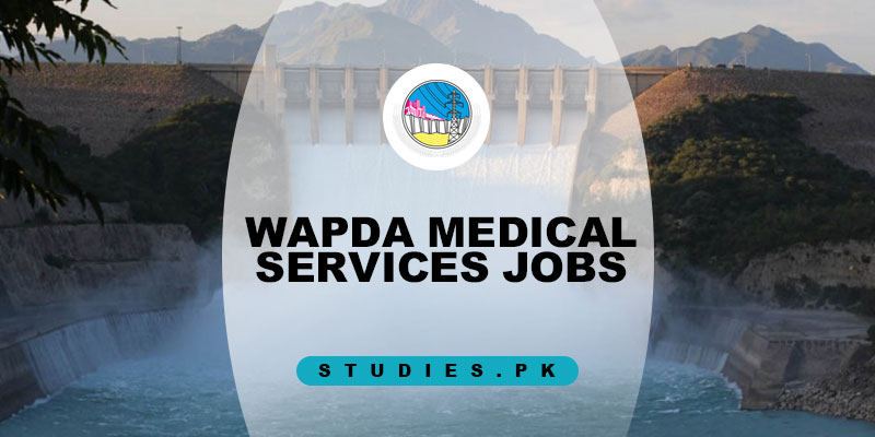 WAPDA-Medical-Services-Jobs