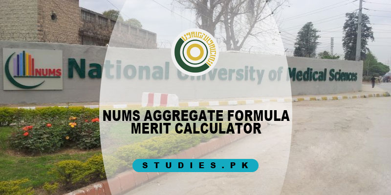 NUMS-Aggregate-Formula-Merit-Calculator